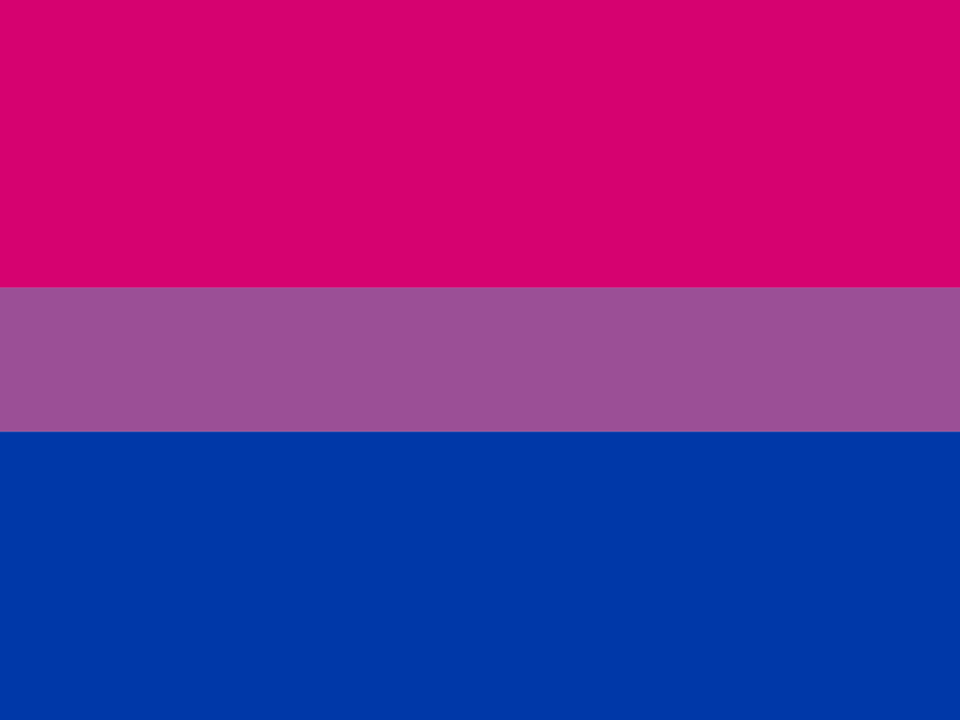 CookiePrideLGBTQ Bisexual Collection