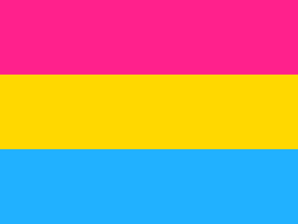 CookiePrideLGBTQ Pansexual Collection