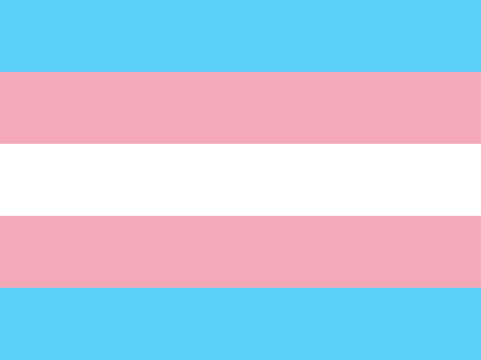 CookiePrideLGBTQ Transgender Collection